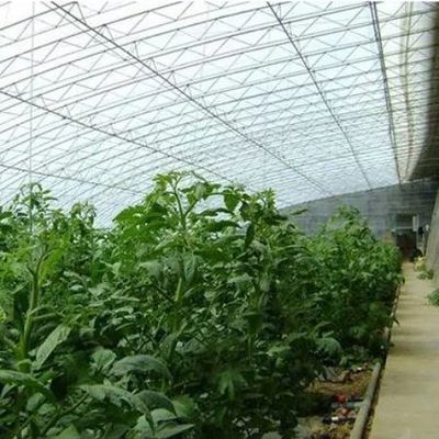 Sistema avançado de controlo de umidade e luz solar para vegetais em estufas comerciais