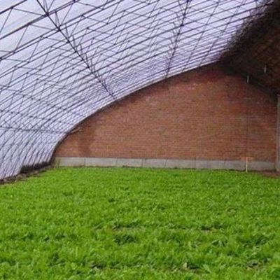 Sistema avançado de controlo de umidade e luz solar para vegetais em estufas comerciais