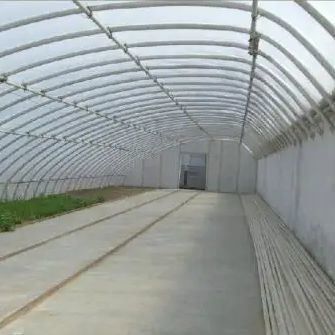 Estufas de sol controladas por umidade para o cultivo de pepinos de tomate em areia