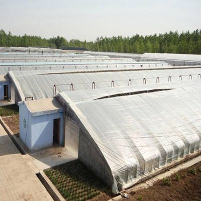 2000.000kg Pacote Peso Bruto Sistema de Estufas Avançado de Crescimento de Vegetais