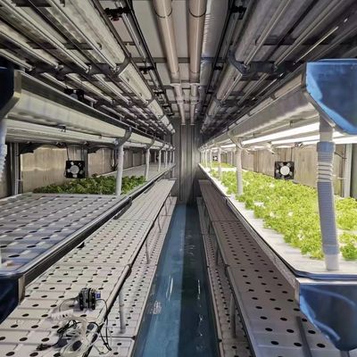 Método de cultivo de vegetais folhosos