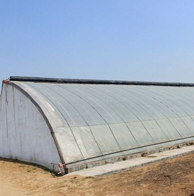 JX-SG-111 Estufas de luz solar controladas pelo clima para cultivo de vegetais de areia