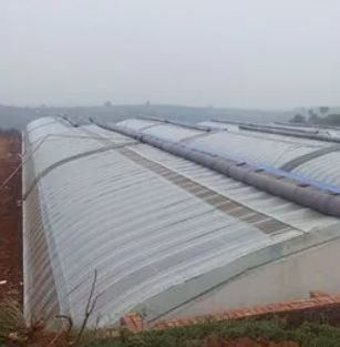 JX-SG-111 Estufas de luz solar controladas pelo clima para cultivo de vegetais de areia
