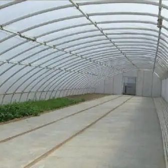 2000.000kg Cultivo de Tomate e Pepino Sol Sol Sol Sol Solução de Estufas com teto arqueado