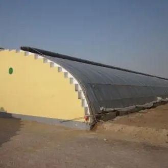 O cultivo de pepinos em grande escala é facilitado com uma estufa comercial com controle de umidade