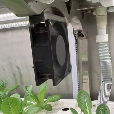 Cobre de aço Container de vegetais de folhas Estufa Para personalização