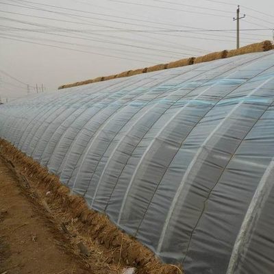 Alimentação de tomates Estufas de sol com controle de umidade e controle de temperatura