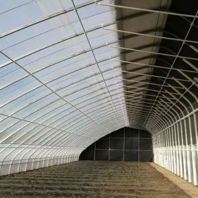 Alimentação de tomates Estufas de sol com controle de umidade e controle de temperatura