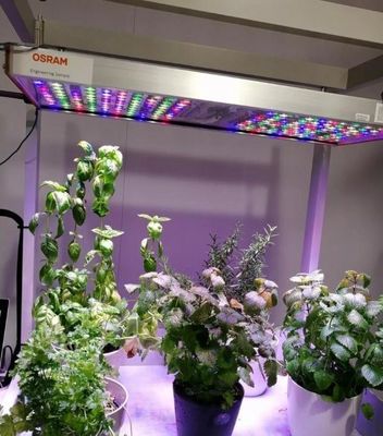 Estrutura de aço Estufas hidropónicas com sistema de cultivo vertical multi-span