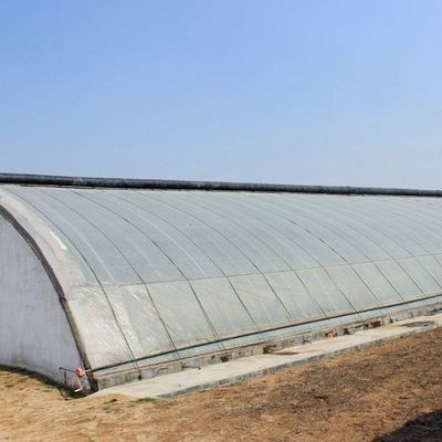 Método de aquecimento da estufa hidropónica comercial para plantação de pepino