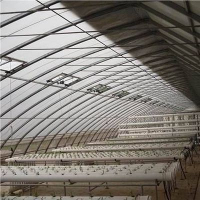 Cultivo de vegetais avançados Estufas de luz solar 40HQ Container Reefer para Superior