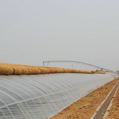 Cultivo de vegetais avançados Estufas de luz solar 40HQ Container Reefer para Superior