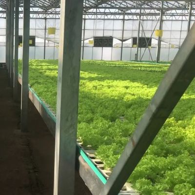 Agricultura vertical Estufas de contêineres de transporte marítimo com hidroponia e estrutura de aço