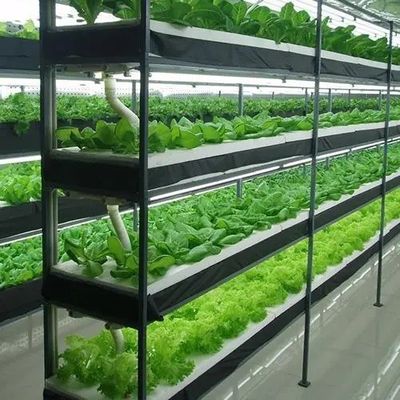 Estrutura de aço sistema hidropónico recipiente estufa para solução de agricultura vertical