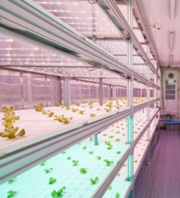 Estrutura de aço sistema hidropónico recipiente estufa para solução de agricultura vertical
