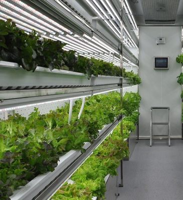 Estrutura de aço sistema hidropónico recipiente estufa para solução de agricultura vertical