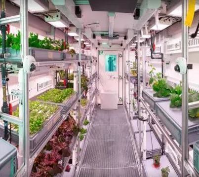 Estrutura de aço sistema hidropónico recipiente estufa para solução de agricultura vertical