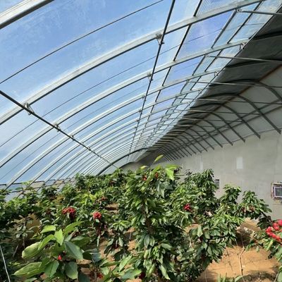 Sistema de cultivo de tomate de sombreamento e ventilação para transporte de contêineres 40HQ Reefer