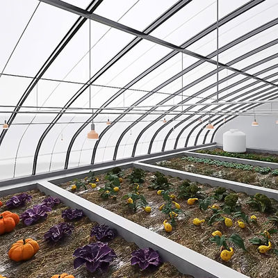 Sistema de cultivo de tomate de sombreamento e ventilação para transporte de contêineres 40HQ Reefer