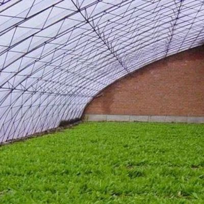 Sistema de cultivo de tomate de sombreamento e ventilação para transporte de contêineres 40HQ Reefer