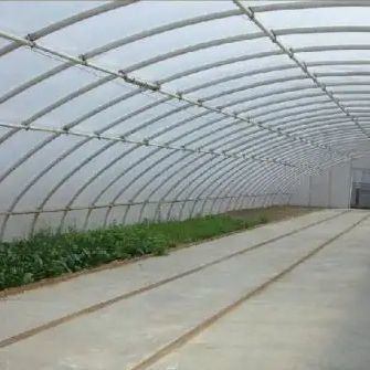 Sistema de cultivo de tomate de sombreamento e ventilação para transporte de contêineres 40HQ Reefer