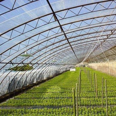 Sistema de cultivo de tomate de sombreamento e ventilação para transporte de contêineres 40HQ Reefer