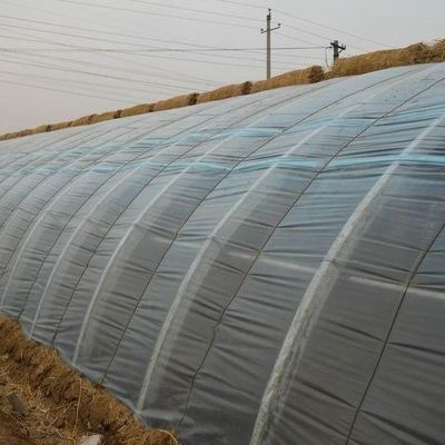 Moeda dos EUA Plantação comercial de tomate Estufas de luz solar para produção óptima de culturas