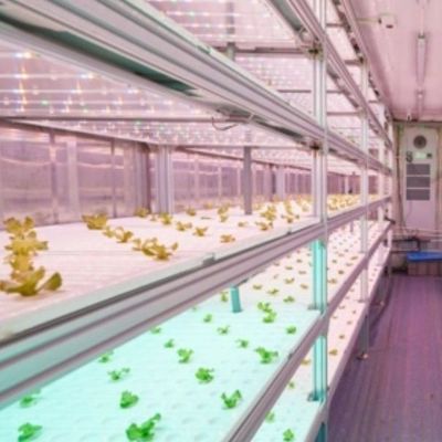 Estufas de contêineres de navegação para agricultura hidropónica vertical na indústria comercial