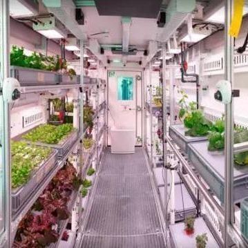 Container de cultivo hidropónico vertical para estufas comerciais