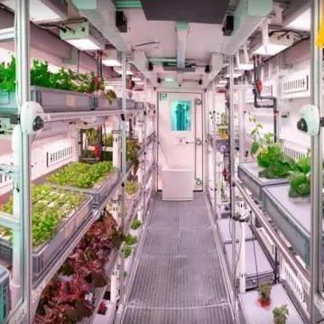 Estufas para agricultura vertical comercial com sistema hidropónico