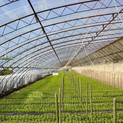 Aquecimento temporário Estufas de luz solar climatizadas para tomate e pepino