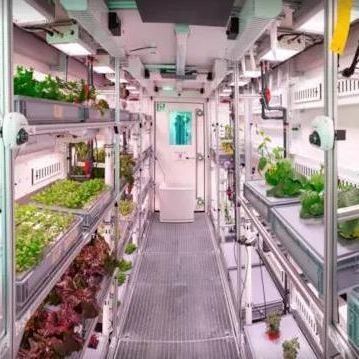 Sistema hidropónico de vegetais Container Estufas para instalação de cultivo vertical JX-CG-103