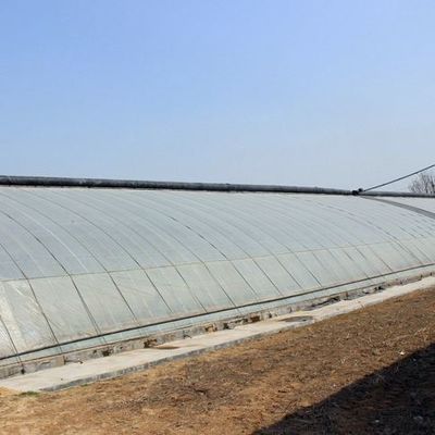 Estrutura de aço/estufa de luz solar com controlo de umidade de parede para a produção de vegetais