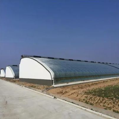 Juxiang Irrigação Automática Estufas de luz solar para vegetais Ventilação e sombreamento