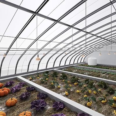 Juxiang Irrigação Automática Estufas de luz solar para vegetais Ventilação e sombreamento
