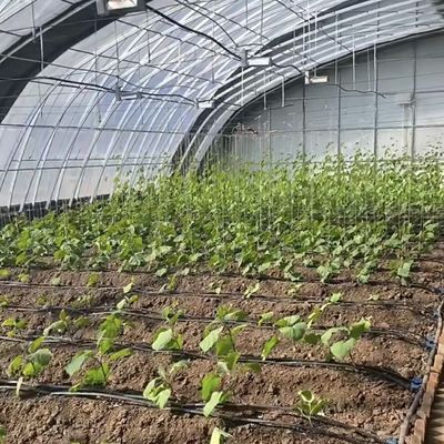 Juxiang Irrigação Automática Estufas de luz solar para vegetais Ventilação e sombreamento