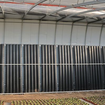 Juxiang Irrigação Automática Estufas de luz solar para vegetais Ventilação e sombreamento