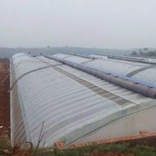 Juxiang Irrigação Automática Estufas de luz solar para vegetais Ventilação e sombreamento