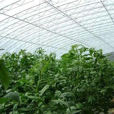 Sistema de irrigação luz solar estufa para vegetais moeda dos EUA e aquecimento temporário