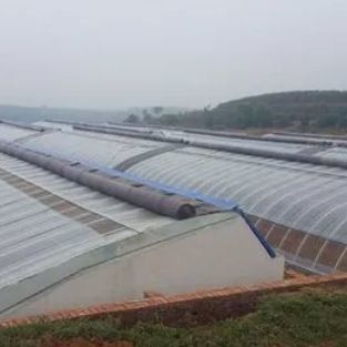 Sistema de irrigação luz solar estufa para vegetais moeda dos EUA e aquecimento temporário