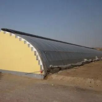 Estufas para o cultivo de tomate com luz solar e telhado arqueado