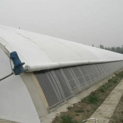 Estufas para o cultivo de tomate com luz solar e telhado arqueado