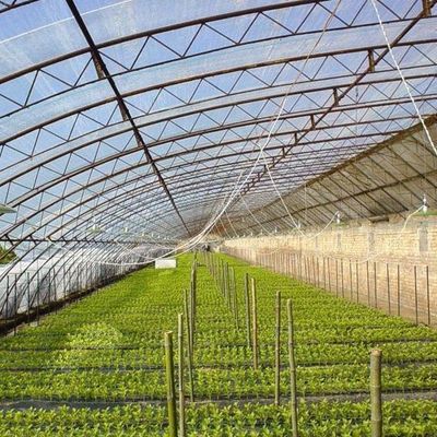 Estufas de dupla camada para cultivo de vegetais e produção temporária de aquecimento