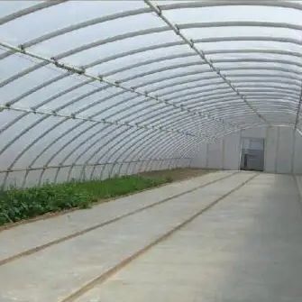 Estufas de luz solar de vegetais avançados com controle de umidade e crescimento óptimo das plantas