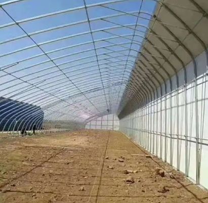 Estufas de luz solar de vegetais avançados com controle de umidade e crescimento óptimo das plantas
