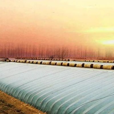 Pacote Peso Bruto 2000.000kg Estufas de luz solar leve para o cultivo de vegetais