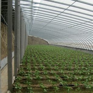 Pacote Peso Bruto 2000.000kg Estufas de luz solar leve para o cultivo de vegetais