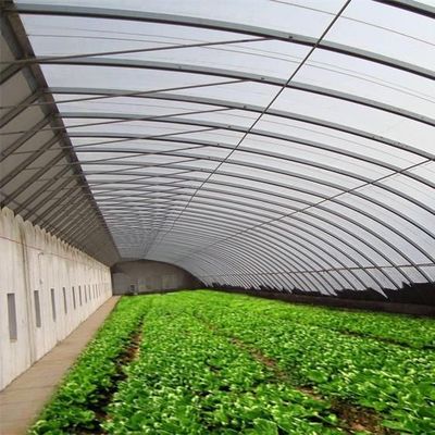 Pacote Peso Bruto 2000.000kg Estufas de luz solar leve para o cultivo de vegetais