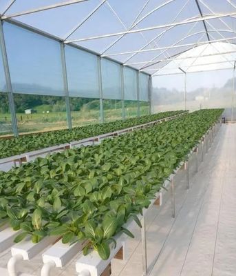 Tecnologia de cultivo hidropônico vertical revolucionária para estufas de contêineres