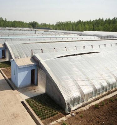 1209.00cm * 235.00cm * 239.00cm Tomate e Pepino Plantando Estufa de Luz Solar para o Seu